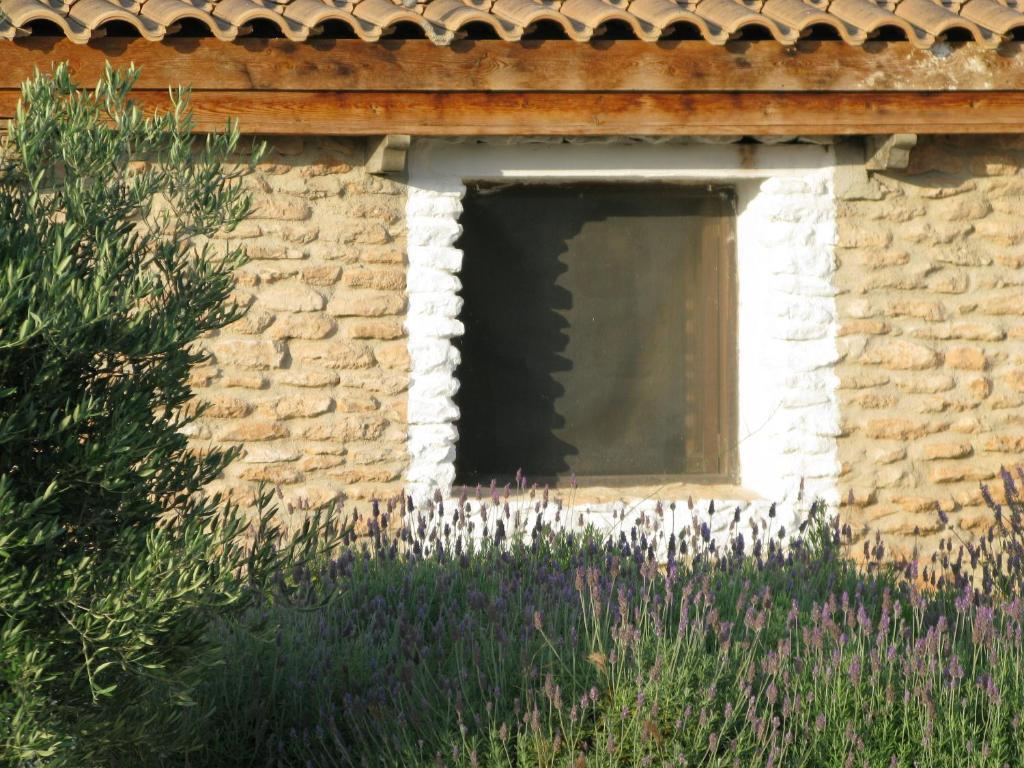 Apartamento Cuevas Alcobas